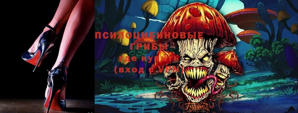 ешки Алексеевка