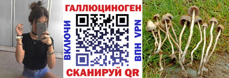 купить наркотик Тольятти Галлюциногенные грибы Magic Shrooms